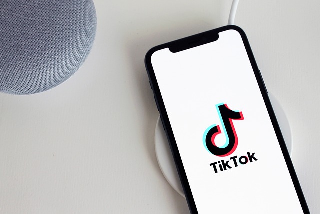 TikTok 運用代行サービスとは