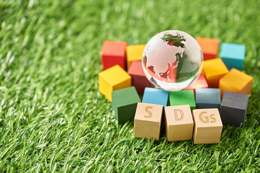 Z世代SDGs