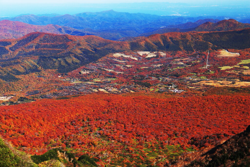 東北エリア